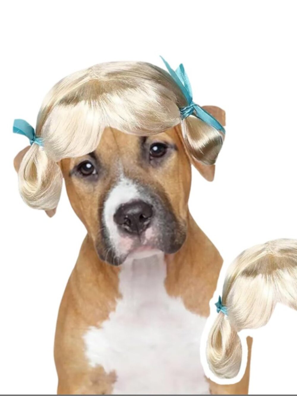 MENGYUEXUAN Pet Wig for Dogs and Cats, Realistic Adjustable Costume Wig with Sim